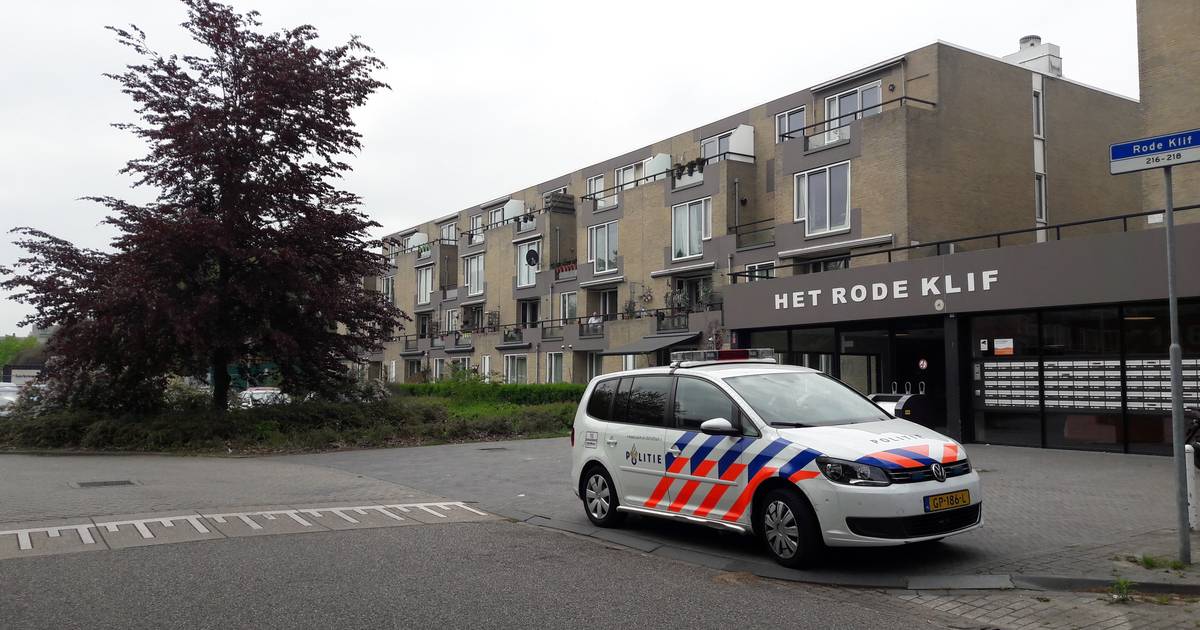 Michael B. krijgt ook in hoger beroep 18 jaar cel voor ‘tbs-moord’ Lelystad