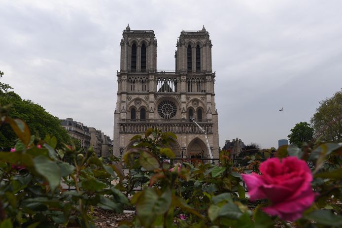 Op het voorplein van de Notre-Dame zal een tijdelijke kathedraal in hout worden opgetrokken.