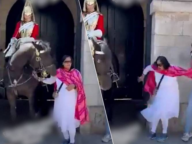 KIJK. Toeriste wil paard van King's Guard aanraken voor foto, maar daar is het dier absoluut niet mee gediend