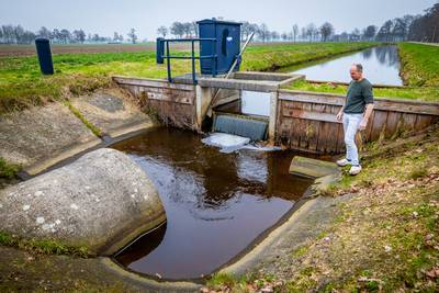 Gert (50) uit Den Ham redt bejaarde vrouw van verdrinkingsdood: ‘Dacht eerst dat het een poes was’