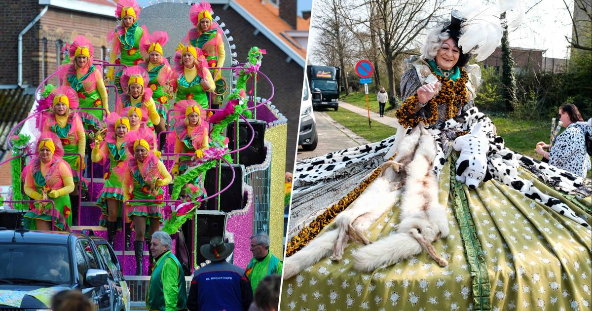 Van Maasmechelen tot Halen hier vier je carnaval in ZuidLimburg