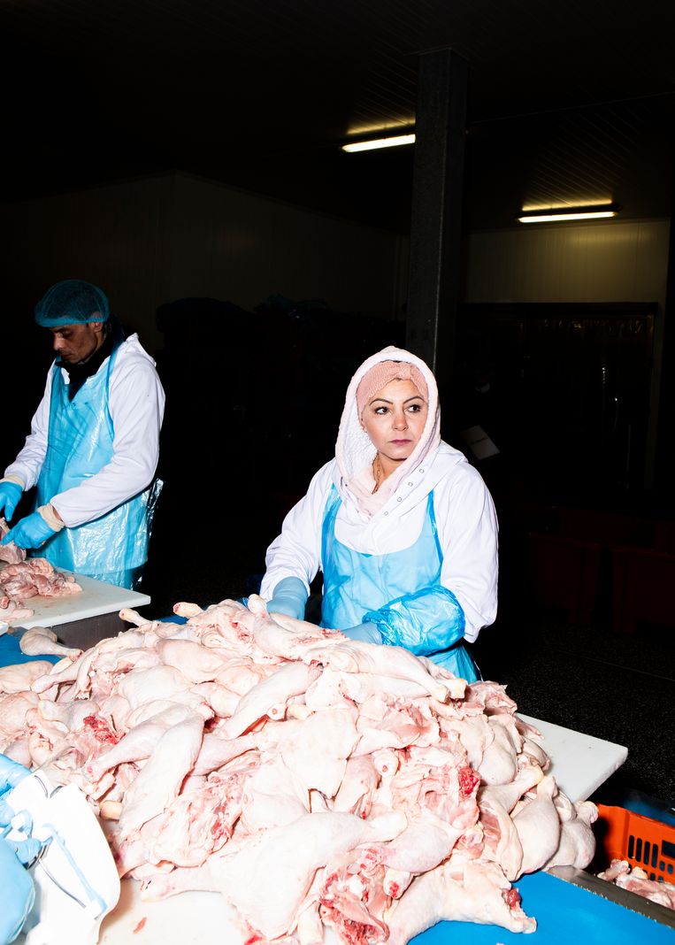 Bij Bilal Chicken Centre werken 38 mensen, afgelopen jaar werd een omzet van 17 miljoen euro gedraaid. Beeld Hilde Harshagen