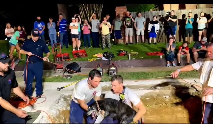 Eindelijk is Zoey weer boven de grond (screenshot uit filmpje van de reddingsactie van de lokale brandweer).