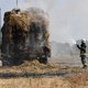 Hitte veroorzaakt branden in heel Vlaanderen, verbod op kampvuren in Limburg