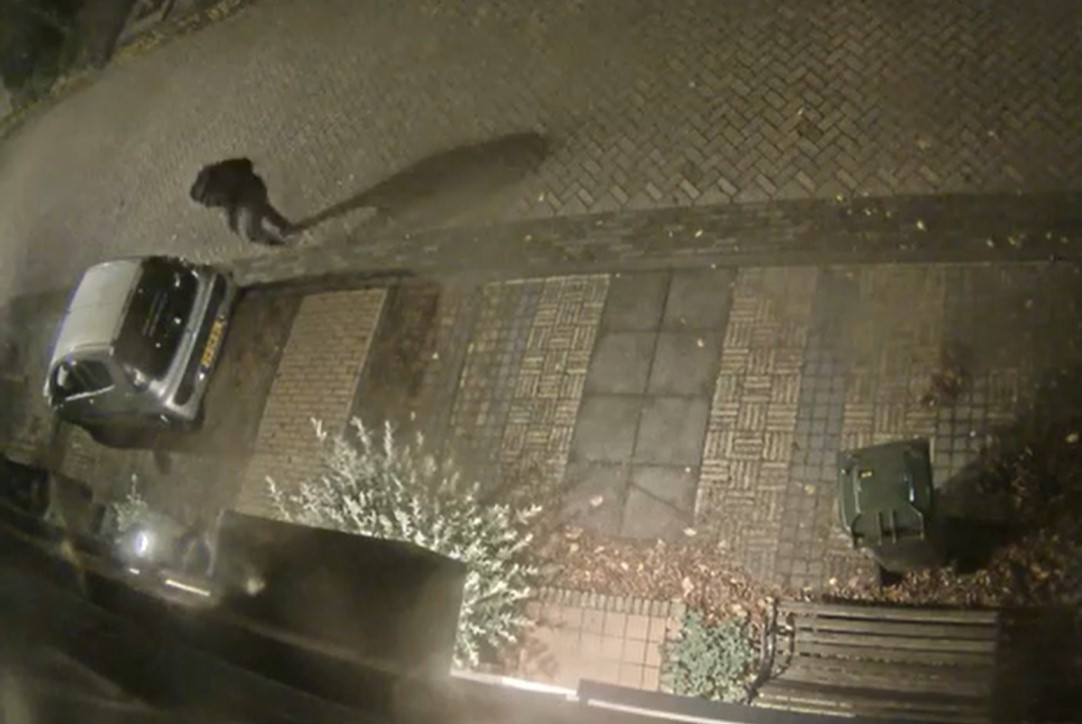 Verleden week donderdag begon de vernielzuchtige tocht van de bandenprikker in Krimpen aan de Lek. Direct ging een filmpje rond op social media.