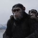 ‘War for the Planet of the Apes’: Onze innerlijke gorilla gromt tevreden.