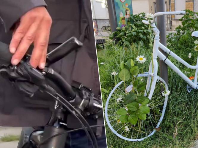 KIJK. Grote herdenking voor 23-jarige vrouw uit Wommelgem die overleed na verkeersongeval op Plantin en Moretuslei