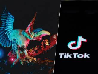 TikTokker deelt ‘truc’ om licht aan te krijgen in Efteling-attractie Vogel Rok en filmt: ‘Mijn telefoon vliegt weg!’