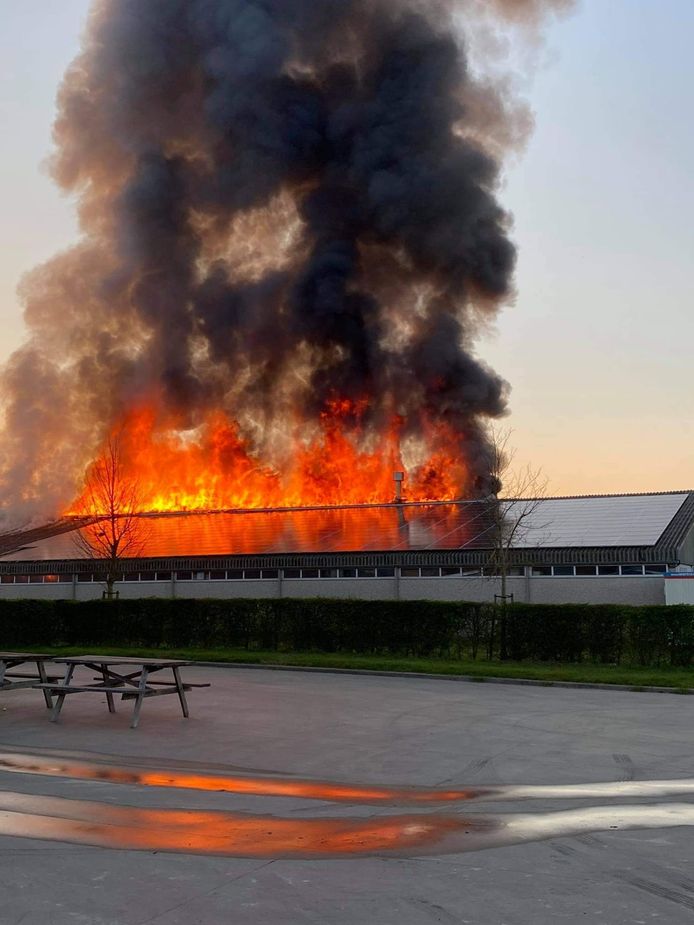 De loods van de schrijnwerkerij in Lo staat volledig in lichterlaaie. De brandweer staat voor een loodzware, urenlange klus.