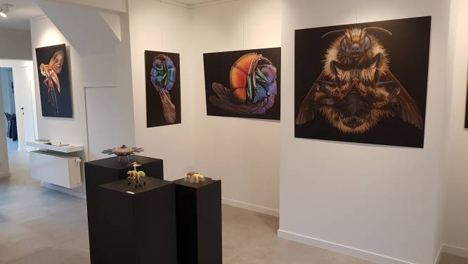 Vader en zoon exposeren insectenkunst in DORP 16