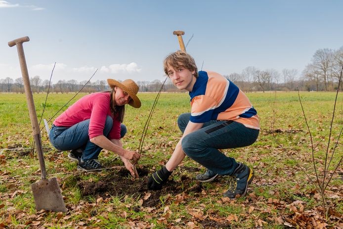 Sonne Copijn van Bee Foundation plant bomen voor bijen in Groenekan, geholpen door vmbo-leerlingen.