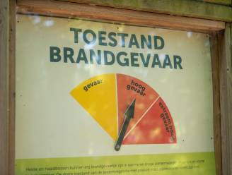 Code oranje voor brandgevaar in Antwerpen en Limburg vanaf morgen
