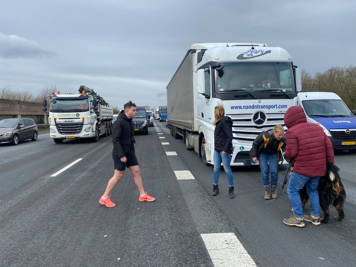 Op de A2 bij de ring Utrecht ontstond vanmiddag een chaotische situatie door een hond.