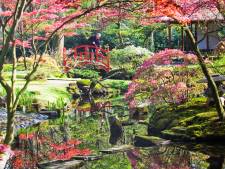 Goed nieuws! De Japanse Tuin gaat weer open