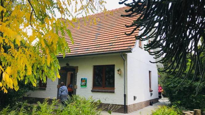 Workshop voor kinderen in Villa Botanica: “Camouflage in de natuur”