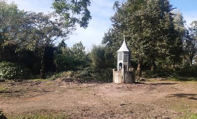 Planten en bloemen in ‘museum van groen’ sneuvelen na grof werk van hovenier: ‘Bijna niet te vervang