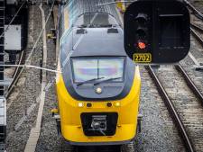 Tot vanmiddag geen treinen tussen Utrecht Centraal en Driebergen-Zeist en Breukelen