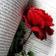 Top 5 romantische boeken