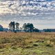 Familielandgoed Den Treek-Henschoten is er voor iedereen