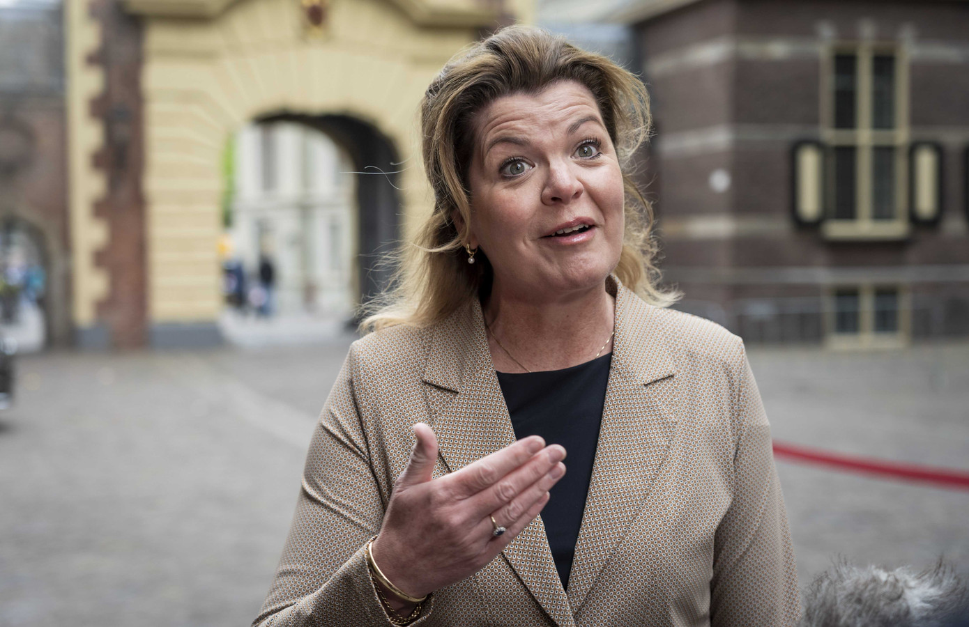 Minister houdt voet bij stuk Hedwige