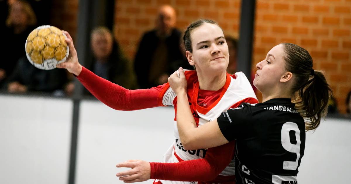 Uitslagen en verslagen handbal: DSVD dankzij zege op Volendam zeker van lijfsbehoud