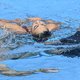 Zwemcoach redt pupil van verdrinkingsdood. ‘Ik dook erin alsof het een olympische finale was’