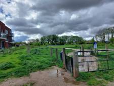 Licht aan de horizon voor uiteengereten basisschool Hogenkamp: hondenlosloopterrein in beeld als nieuwe locatie