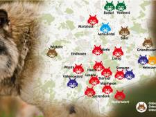 Wolf in Wintelre was op doorreis; alleen ‘Groote Heide-wolf’ is een blijvertje in Zuidoost-Brabant 