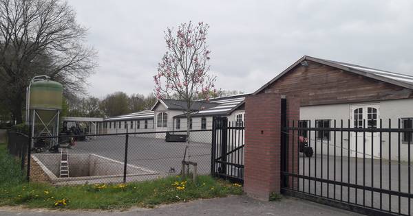 Opnieuw beslag gelegd op Platinum Stable in Riel