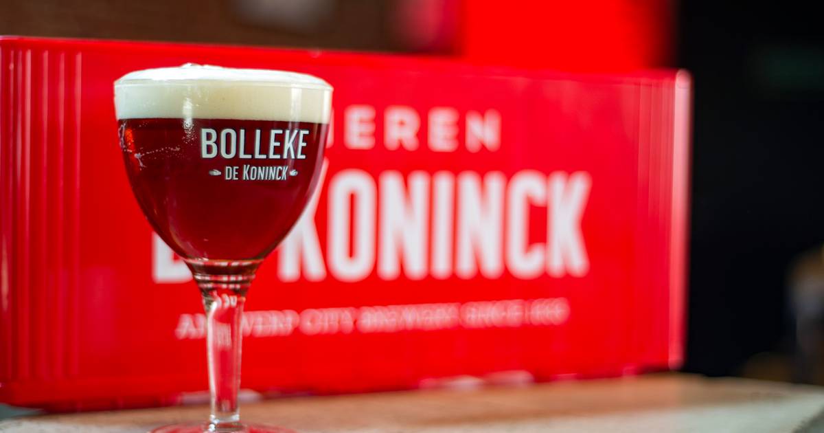 heeft er een broertje brouwerij De Koninck pimpt traditioneel bier met extra dosis hop | Antwerpen | hln.be
