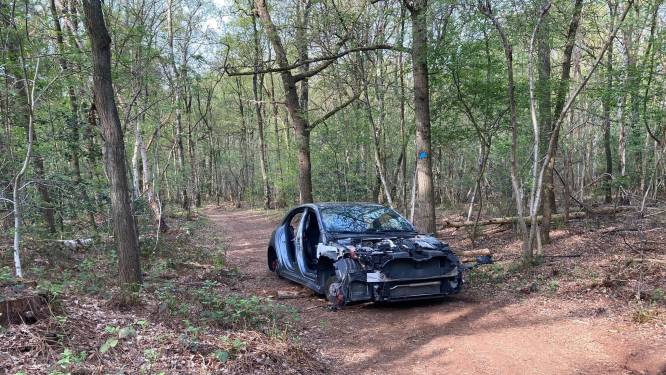 Boswachter niet verbaasd over totaal leeggeroofde auto op verlaten bospad
