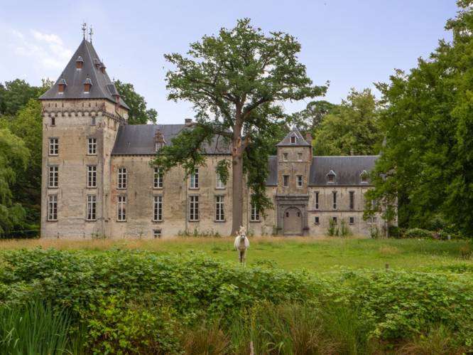 Gemeente Malle gaat kasteel van Westmalle kopen: “We kunnen poorten hopelijk vanaf najaar openzwaaien”