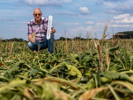 Arcen breekt warmterecord na record: 'Toont aan dat klimaat aan het veranderen is'
