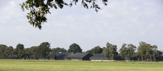 Pluimveebedrijf aan de Slaghekkenweg in Borculo vanaf de Planetkampsweg gezien