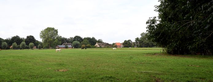 OOSTERHOUT - Bewoners van de Heilige Driehoek willen dat het open karakter van het gebied gehandhaafd blijft. Op de foto het uitzicht vanaf de Leijsendwarsstraat.