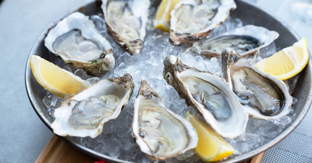 How to open oysters easily?  How do you recognize a bad one?  |  Food and knowledge