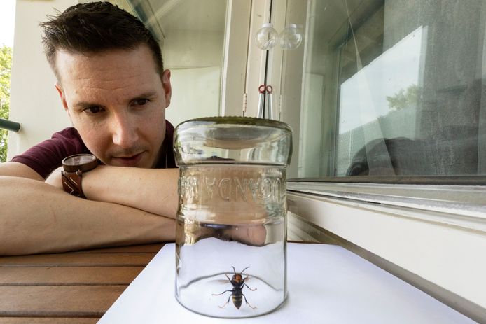Ralph van Heerbeek op zijn balkon bij de keuken waar de Aziatische Hoornaars de afgelopen weken in en uit vliegen.