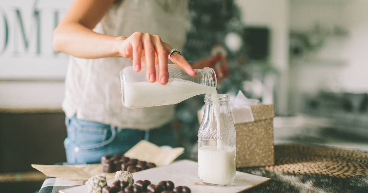Melk van de koe? De melk in je koelkast is steeds vaker gemaakt van planten Koken & Eten bd.nl