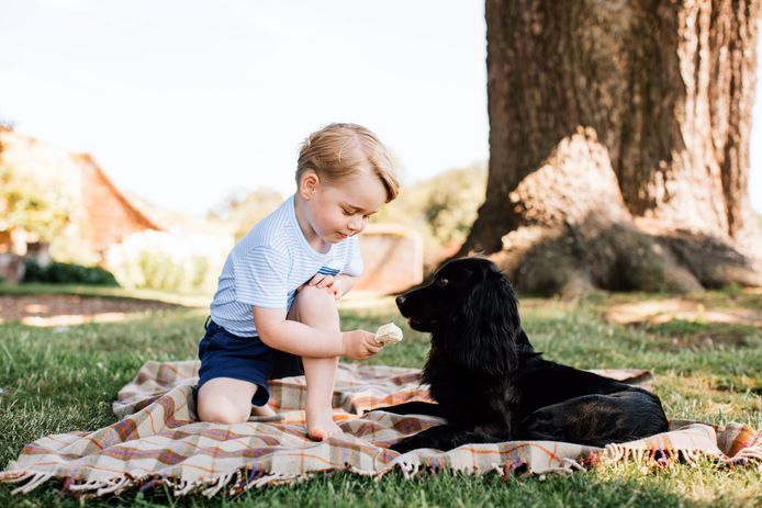 Voor zijn derde verjaardag gaf de familie foto's vrij van George en gezinshond Lupo.
