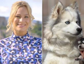 Oproep An Lemmens om Roefel-activiteit ‘puppy’s knuffelen’ te schrappen doet gemeente niet buigen: “Fokker heeft alle vergunningen”