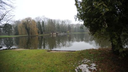 Ganzen en eenden doodgeschoten in Neromhof