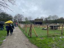 Wilrijk heeft eindelijk weer een kinderboerderij: “Dit is een nieuwe start”