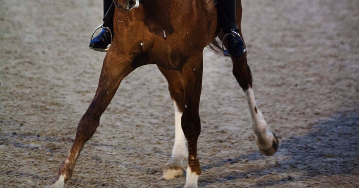 Boudens uit Kattendijke beleeft mooi debuut bij ParaGames Breda