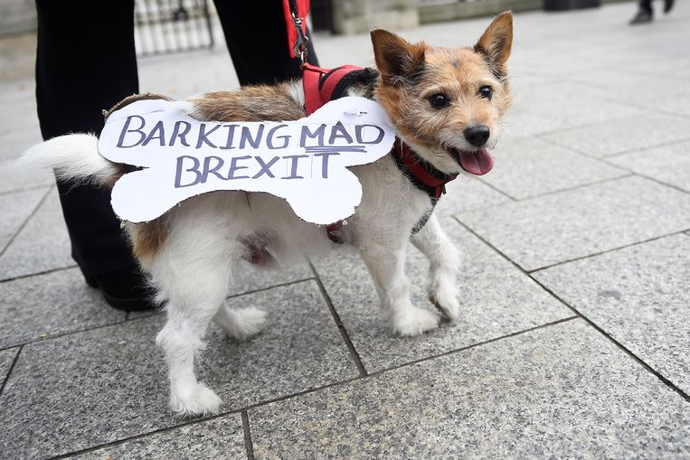 Tegenstanders van de brexit tijdens een protest in Belfast, vorige maand. Beeld REUTERS