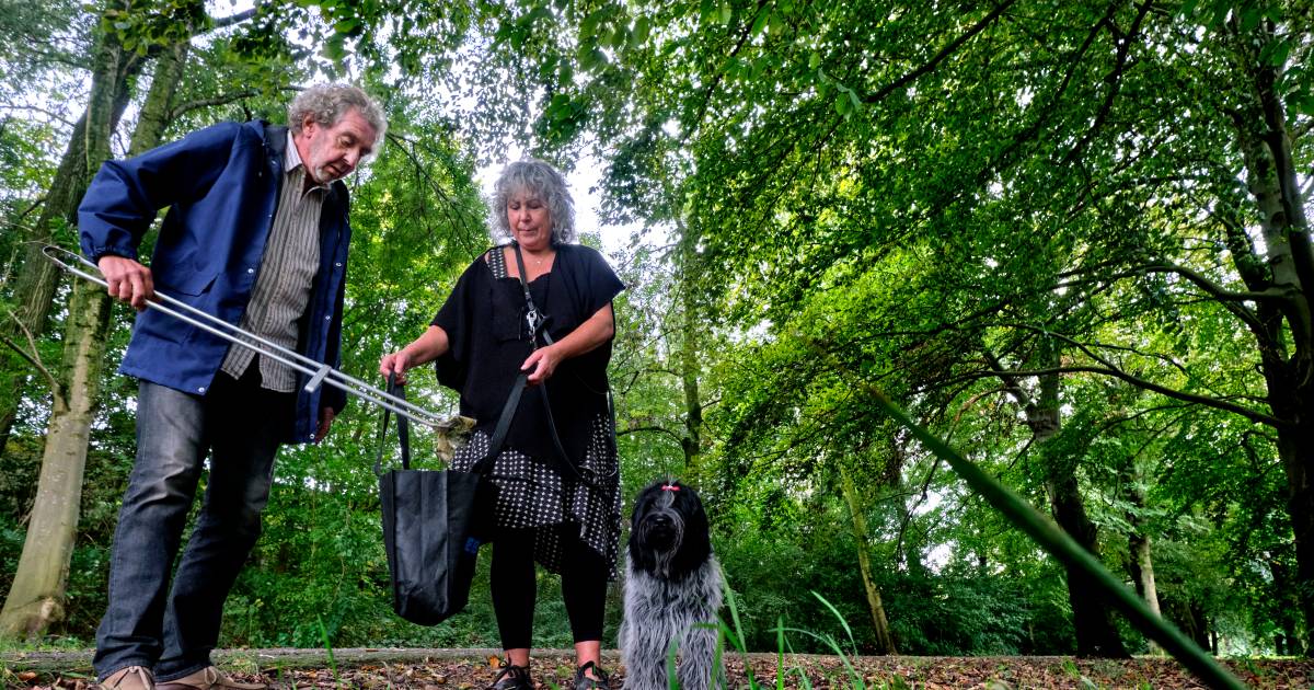 Dordtenaren En Hun Parken Degene Die Het Zo Heeft Bedacht Zal Zelf Wel Geen Hond Hebben Dordrecht Ad Nl