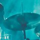Concertreview: Binker & Moses en Moses Boyd Exodus op Feeëriën 2017 (Brussel)