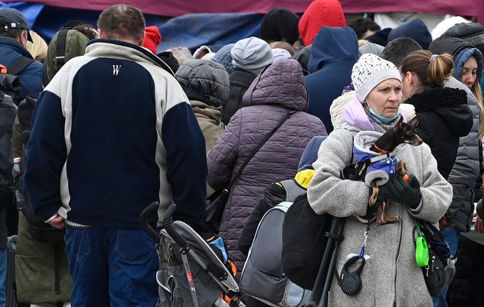 Oekraïense vluchtelingen aan het registratiepunt aan de Heizel.