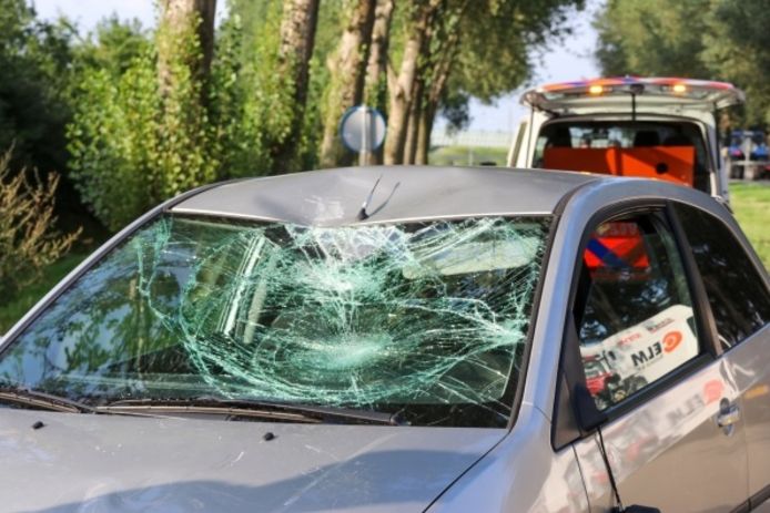 Een wielrenner belandde vanmiddag op de voorruit van een auto bij een aanrijding.