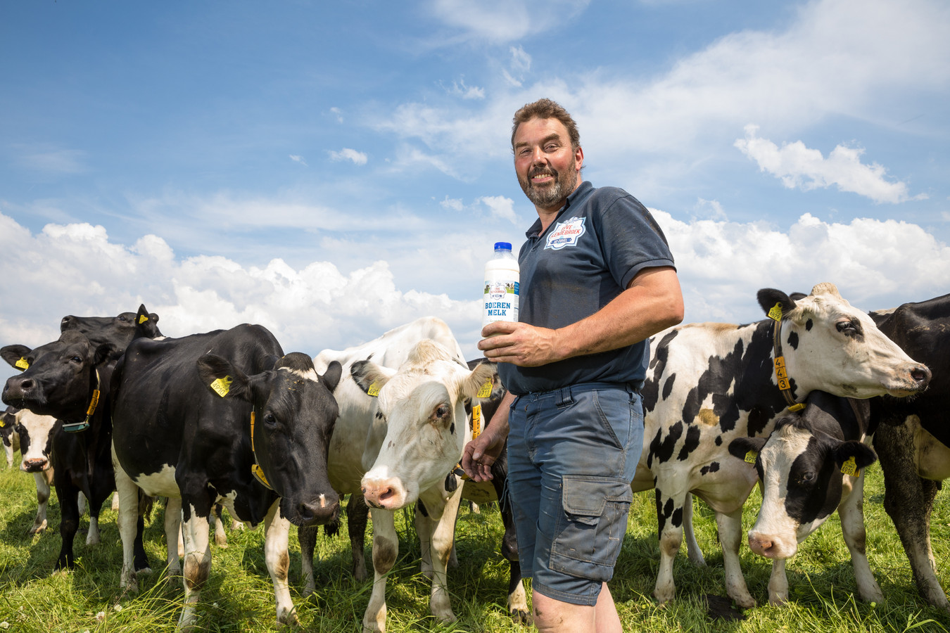 Jaco Visscher, boer vlakbij Zwolle, tussen zijn koeien die A2-melk leveren. Dat is melk die ook geschikt is voor mensen met koemelkallergie.