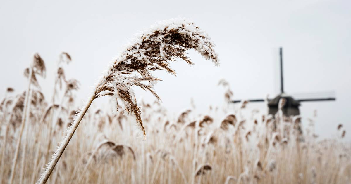 IJsheiligen verloopt dit jaar hoogstwaarschijnlijk ijsvrij en zonder